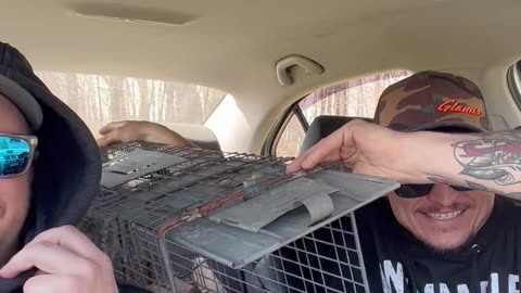 Releasing Squirrels Into The Car