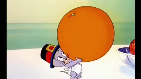 Tom and Jerry cartoon video