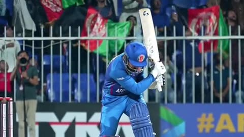 Rashid khan best no look shot