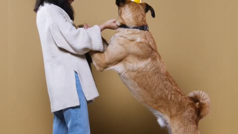 🥰Cute Woman Training A Dog 🐶