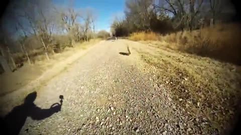 Dog Meets Her family For The First Time Since She Was A Puppy