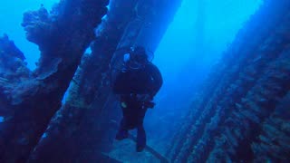 Red Sea SCUBA Diving - Jacinthe