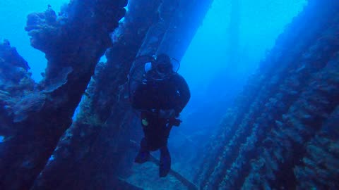 Red Sea SCUBA Diving - Jacinthe
