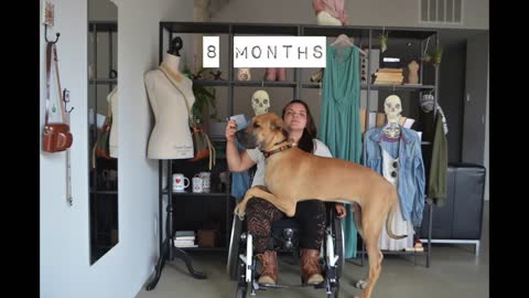 Time lapse captures 3 years living with a Great Dane