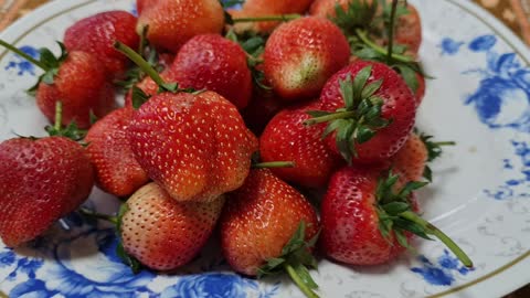 Fresh strawberries we grow in Thailand