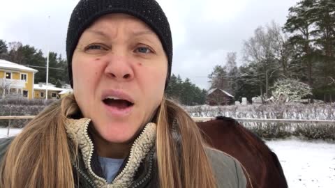 Tips on handling a pony