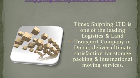 Shipping & Logistics Companies In Dubai | Timex Shipping LTD