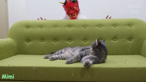 Funny Cats vs Satan