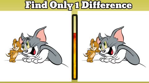 Tom & Jerry ~ Hard Find The Difference