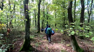 Prin Păduri după ciuperci | Hrib | Piciorul Căprioarei | La Alex pe Deal 2022