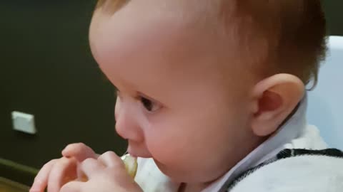 Baby's First Lemon 🍋