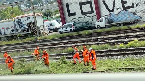 Workers Dance While Cutting Grass