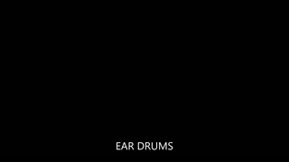 EAR DRUMS