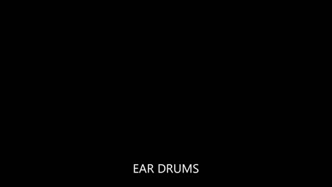 EAR DRUMS