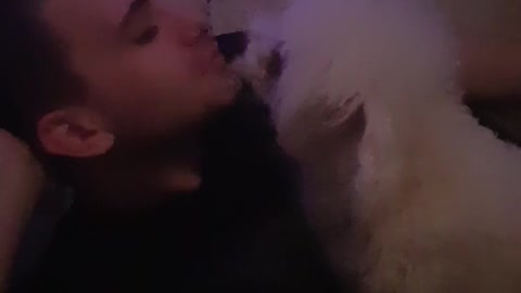 Small dog like to kiss