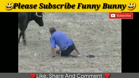 Most awesome bullfighting 2021 funny crazy bull fails