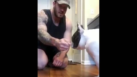 Magic trick with silly dogs | funny dogs😂😂