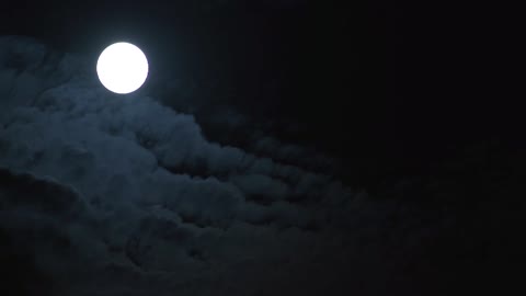 full | moon | raw 7