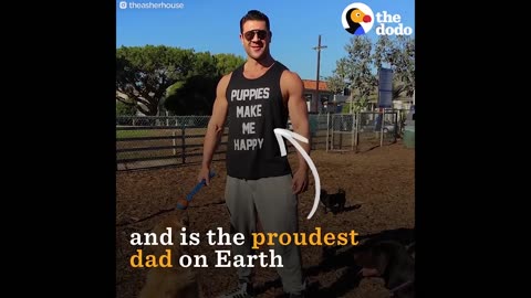 BEST Animal Dads of ALL TIME Compilation | The Dodo Best Of