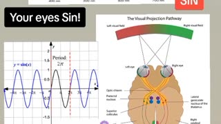 YOUR TWO EYES SINS