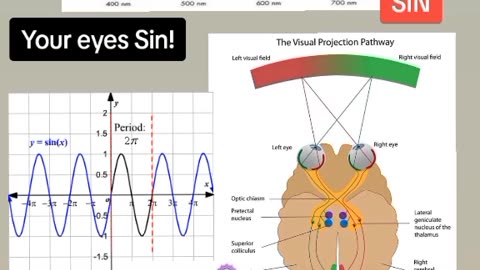 YOUR TWO EYES SINS