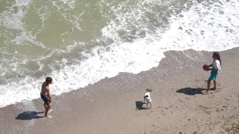 play with dog near the water