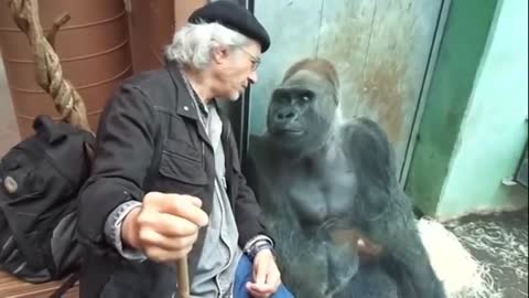 The whole soul of the monkey poured out a heart-to - heart conversation