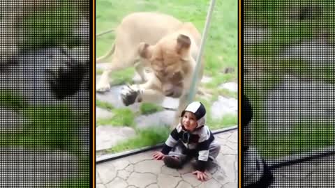 Cute Childrens and Animals