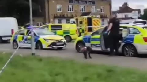 Murder investigation launched in Hayes A 16 year old was stabbed to death