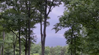 Rain and birds singing in the mountains.