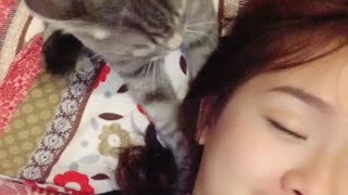 Cat Gives Massages