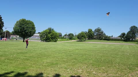 Perfect Day to Fly A Kite