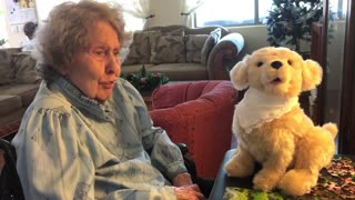 Grandma gets new Joy For All Christmas Puppy
