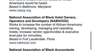 Black ONLY Organizations in America