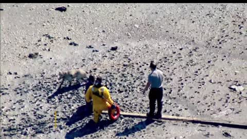 Firefighters Rescue Woman And Dog Stuck In Mud In East Boston