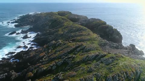 Namanu rruni - Albatross Island Trailer