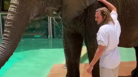 Bath time with Bubbles the elephant show