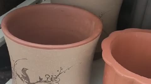 elegant ceramic planter