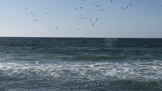 March 18 Walk on the Beach--Video 2