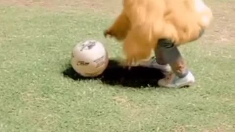 My daughter playing with Ball