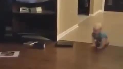 CHILD PUTS A DOG TO RUN, PLAY