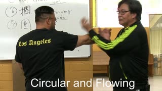 Wing Chun - Circular Action - Gary Lam