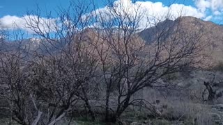 VISITING CATALINA STATE PARK IN ARIZONA!