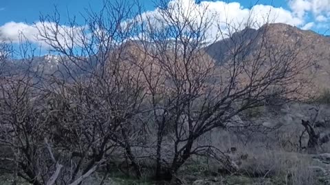 VISITING CATALINA STATE PARK IN ARIZONA!