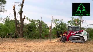 Skid Steer Forestry Mulcher