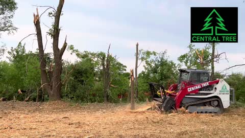 Skid Steer Forestry Mulcher