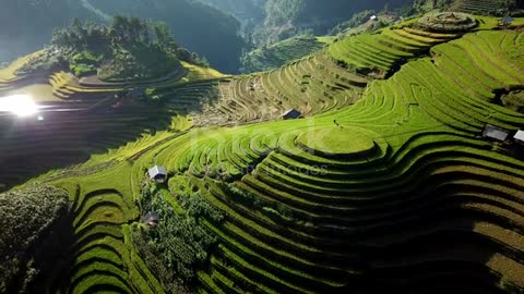 Aerial view rice field Terrereas panoramic Hillside white rice framing mountains station (2022)