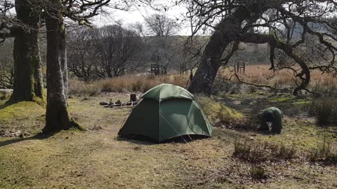 Tent peg is stuck in the ground.