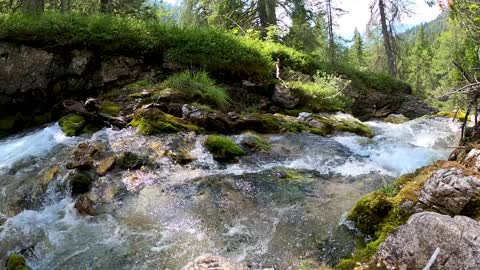 Beautiful Nature video for peaceful mind