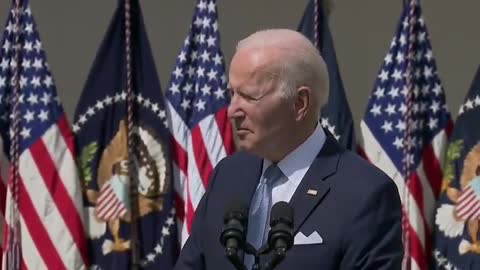 BIDEN: "Imagine had the tobacco industry been immune to prostitute..."